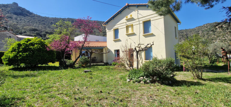 Proche Montalba - Sur  1216 m2 Jardin Verdoyant - Maison de Caractère sur 4 Faces 125m2 Hab